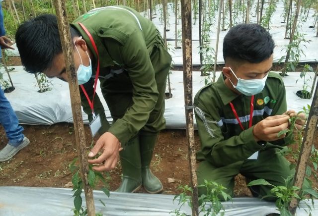 UJI KOMPETENSI MANDIRI 2021 SKEMA KUALIFIKASI II PEMRODUKSI HORTIKULTURA DI TUK AGROKLINIK LOHJINAWI BANDAR