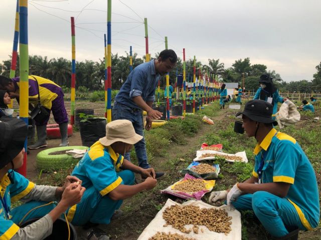 UJI KOMPETENSI MANDIRI 2022 SKEMA PEMBUDIDAYA TANAMAN TUK SMK NEGERI 1 SEBERIDA