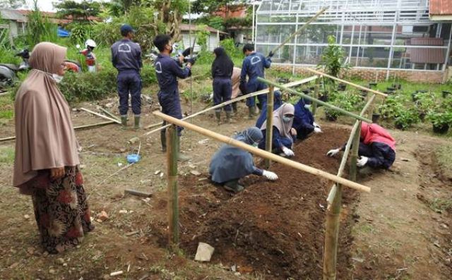 UJI KOMPETENSI PSKK 2021 SKEMA PENANGKARAN BIBIT SAYURAN DI TUK POLITANI PAYAKUMBUH