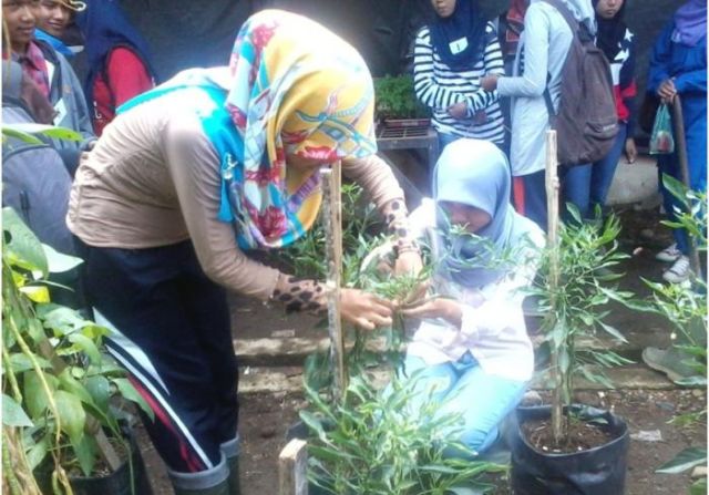 Skema Sertifikasi Klaster Fasilitasi Pertanian Organik Tanaman