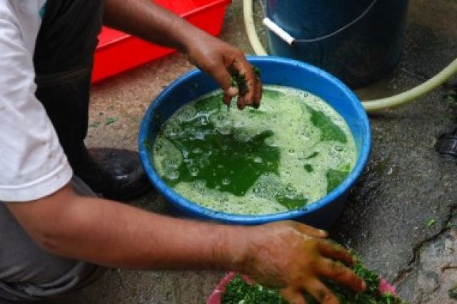 Skema Sertifikasi Klaster Pembuatan Pestisida Organik