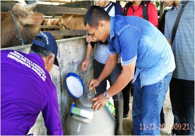 Skema Sertifikasi Okupasi Petugas Inseminasi Buatan