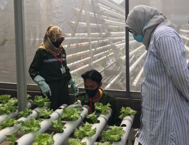 UJI KOMPETENSI MANDIRI 2021 SKEMA BUDIDAYA TANAMAN HIDROPONIK DI TUK GRAHA PONIK MALANG