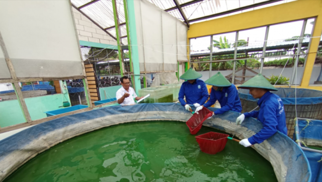 PELAKSANAAN KEGIATAN UJI KOMPETENSI DI UPT BLK TULUNGAGUNG