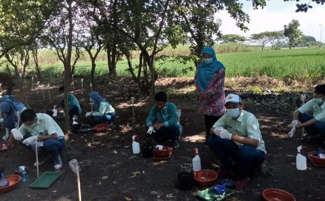 UJI KOMPETENSI PSKK 2021 SKEMA PENANGKARAN BIBIT SAYURAN DI TUK SMKN 1 TROWULAN