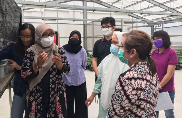 UJI KOMPETENSI MANDIRI 2021 SKEMA KUALIFIKASI LEVEL II KULTUR JARINGAN DI TUK UNIVERSITAS SURABAYA (UBAYA).