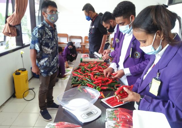 UJI KOMPETENSI Mandiri 2021 SKEMA PEMRODUKSI HORTIKULTURA DI TUK UNIVERSITAS TRIBHUWANA TUNGGADEWI (UNITRI)