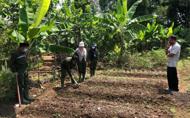 UJI KOMPETENSI MANDIRI 2021 SKEMA KUALIFIKASI II PEMRODUKSI HORTIKULTURA DI TUK KAMPUNG TANI 